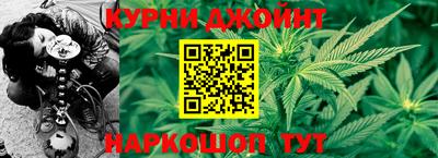 прущие грибы Краснознаменск