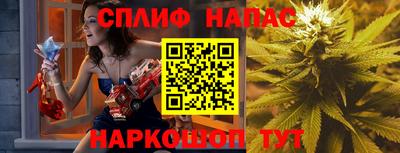 прущие грибы Краснознаменск