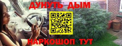 прущие грибы Краснознаменск