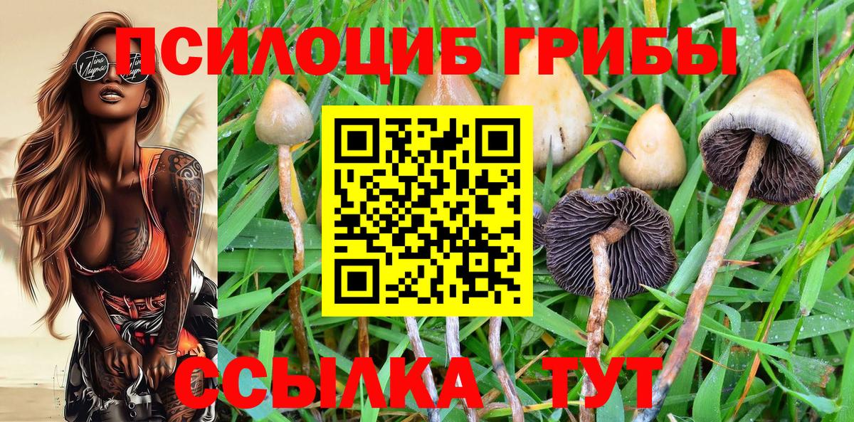 Галлюциногенные грибы Cubensis  наркошоп  Екатеринбург  Вход с VPN 